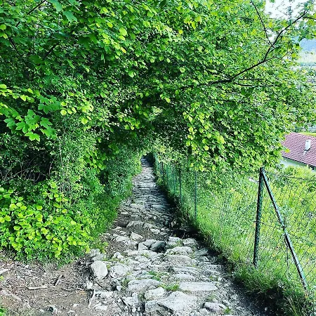 Daberer